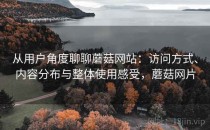 从用户角度聊聊蘑菇网站：访问方式、内容分布与整体使用感受，蘑菇网片