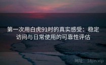 第一次用白虎91时的真实感受：稳定访问与日常使用的可靠性评估