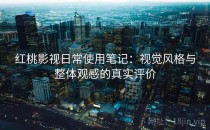 红桃影视日常使用笔记：视觉风格与整体观感的真实评价