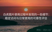 白虎图片使用过程中发现的一些细节：稳定访问与日常使用的可靠性评估
