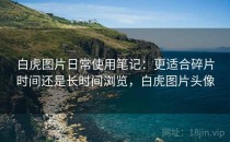 白虎图片日常使用笔记：更适合碎片时间还是长时间浏览，白虎图片头像