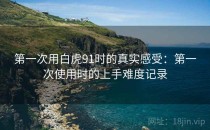 第一次用白虎91时的真实感受：第一次使用时的上手难度记录