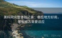 黑料网完整体验记录：哪些地方好用，哪些地方需要适应
