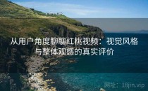 从用户角度聊聊红桃视频：视觉风格与整体观感的真实评价