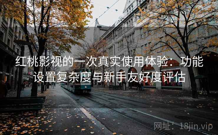 红桃影视的一次真实使用体验：功能设置复杂度与新手友好度评估  第2张
