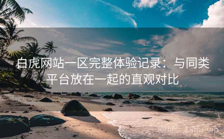 白虎网站一区完整体验记录：与同类平台放在一起的直观对比  第2张