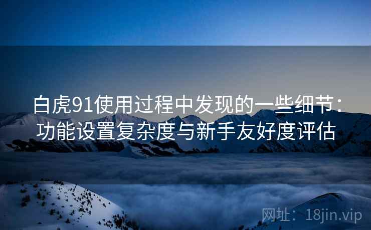 白虎91使用过程中发现的一些细节：功能设置复杂度与新手友好度评估  第2张