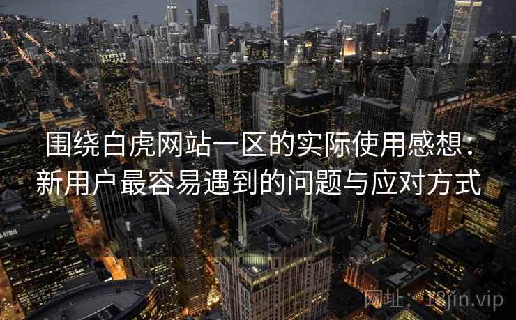 围绕白虎网站一区的实际使用感想：新用户最容易遇到的问题与应对方式  第2张