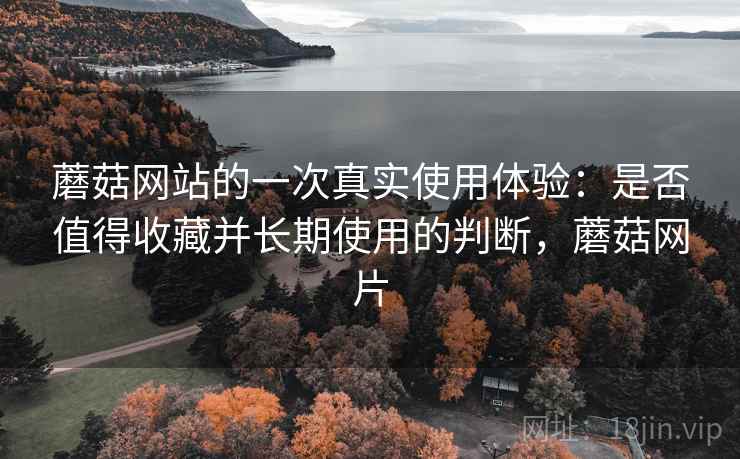 蘑菇网站的一次真实使用体验:是否值得收藏并长期使用的判断,蘑菇网片 第2张 蘑菇网站的一次真实使用体验:是否值得收藏并长期使用的判断,蘑菇网片 第2张