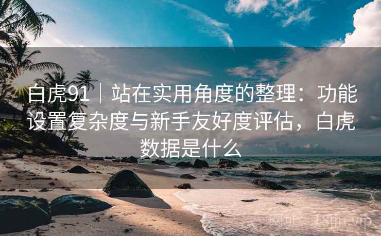白虎91｜站在实用角度的整理：功能设置复杂度与新手友好度评估，白虎数据是什么  第2张