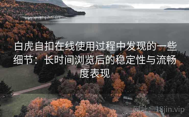 白虎自扣在线使用过程中发现的一些细节：长时间浏览后的稳定性与流畅度表现  第1张