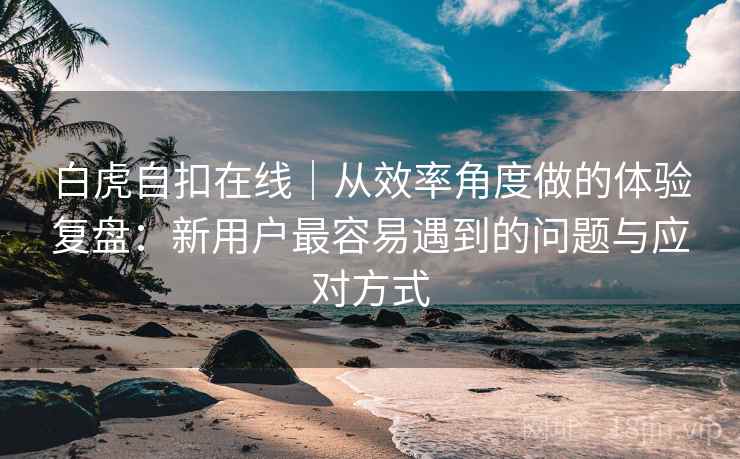 白虎自扣在线|从效率角度做的体验复盘:新用户最容易遇到的问题与应对方式 第2张 白虎自扣在线|从效率角度做的体验复盘:新用户最容易遇到的问题与应对方式 第2张