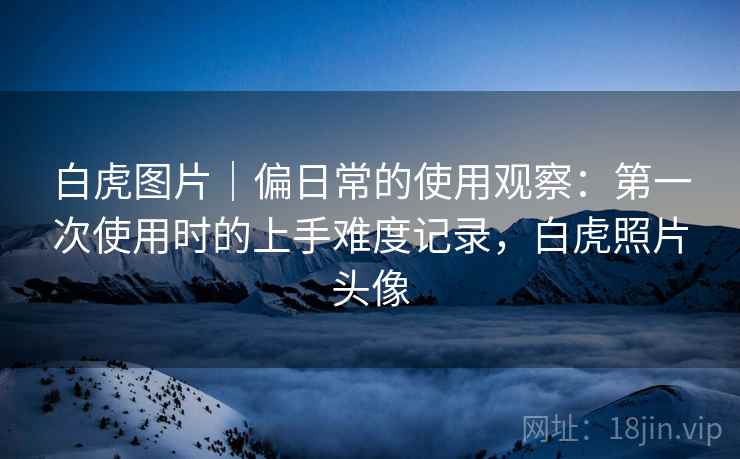 白虎图片|偏日常的使用观察:第一次使用时的上手难度记录,白虎照片头像 第2张 白虎图片|偏日常的使用观察:第一次使用时的上手难度记录,白虎照片头像 第2张