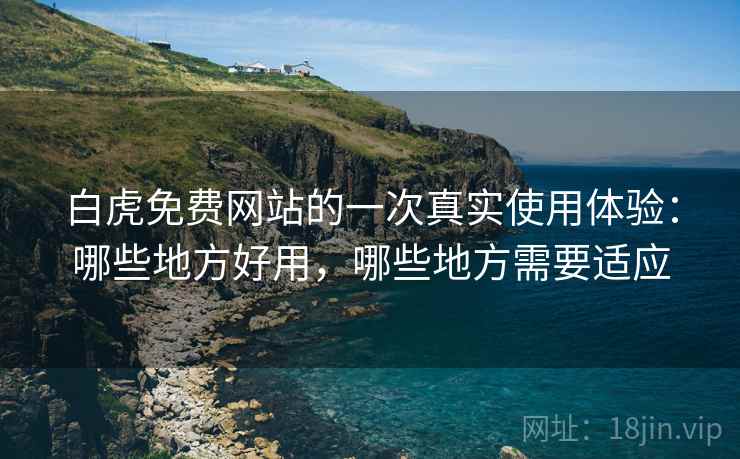 白虎免费网站的一次真实使用体验:哪些地方好用,哪些地方需要适应 第2张 白虎免费网站的一次真实使用体验:哪些地方好用,哪些地方需要适应 第2张