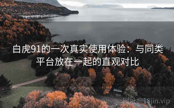 白虎91的一次真实使用体验：与同类平台放在一起的直观对比  第1张